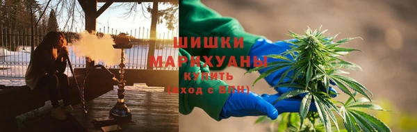 мдпв Инта