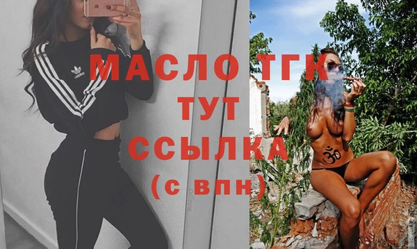 мдпв Инта