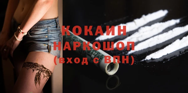 мдпв Инта