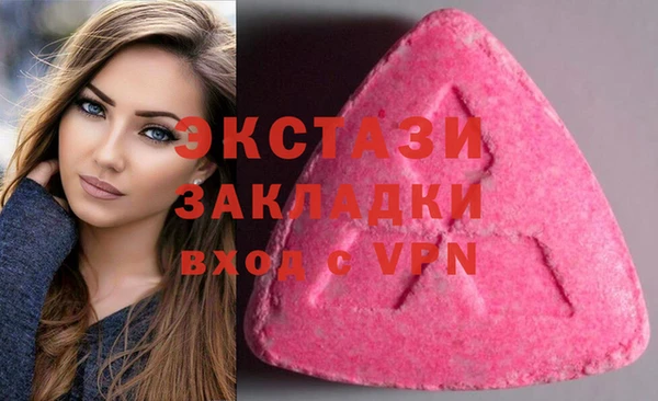 мдпв Инта