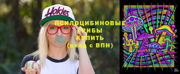 мдпв Инта