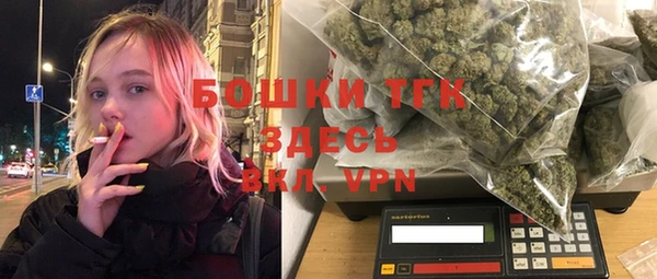 дмт Инсар