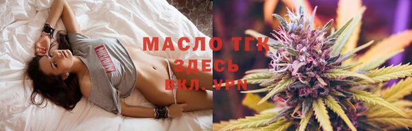 дмт Инсар