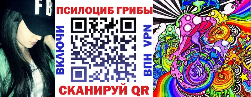 Галлюциногенные грибы Psilocybe  Купить где  Кушва 
